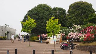 観光客の姿はなく