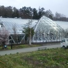 素敵な温室だが 展示が花屋さんのよう By マリオット 山中湖花の都公園フローラルドームふららのクチコミ フォートラベル 素敵な温室だが 展示が花屋さんのよう By マリオット 山中湖花の都公園フローラルドームふららのクチコミ フォートラベル