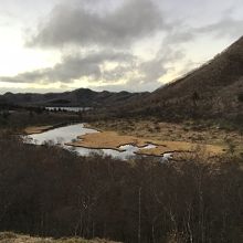 　湿原の模様も。