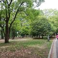 アクセス抜群の都会の公園