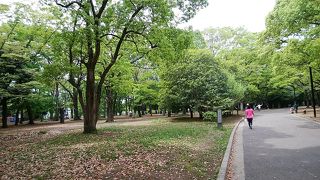 アクセス抜群の都会の公園