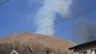 伊豆の春を告げるイベント