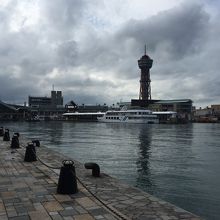 かわいいサイズのタワーです