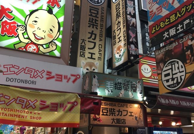 豆柴カフェ 大阪店 クチコミ アクセス 営業時間 ミナミ 難波 天王寺 フォートラベル