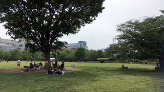 スカイツリーが見える公園