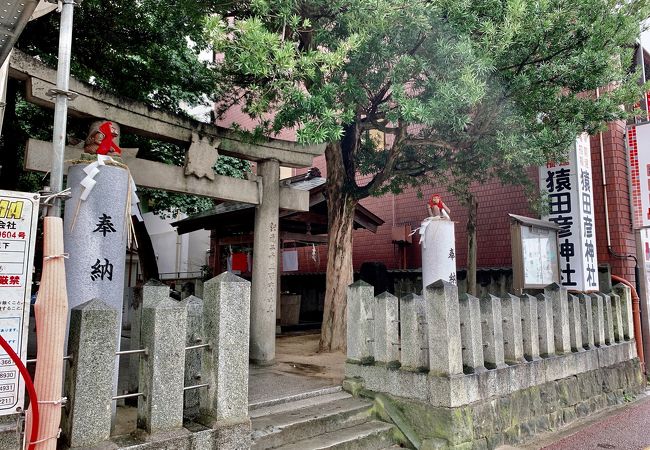 猿田彦神社 クチコミ アクセス 営業時間 博多 フォートラベル 猿田彦神社 クチコミ アクセス 営業時間 博多 フォートラベル
