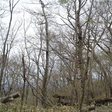 八溝山の風景