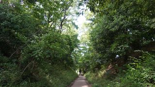 雰囲気はあるようにも思います