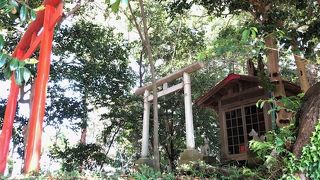 臺谷戸稲荷の森の中にひっそりとある