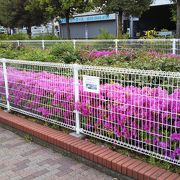 水と緑あふれる気持ちのいい公園