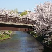 桜の名所で映画のロケ地!!