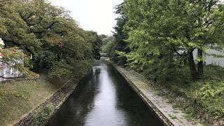 桜の時期以外は寂しかったです。