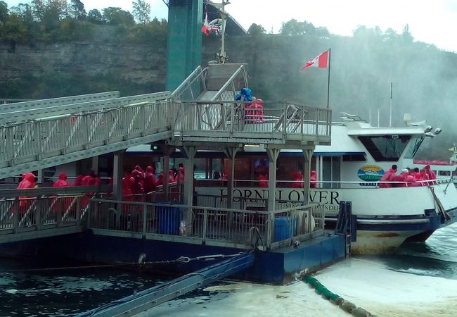 ホーンブロワー ナイアガラ クルーズ        Hornblower Niagara Cruises