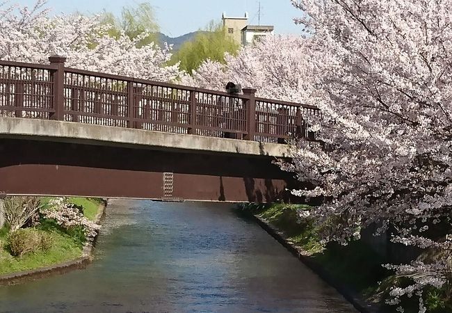 伏見であい橋 クチコミ アクセス 営業時間 伏見 フォートラベル