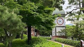 レンガと緑の公園