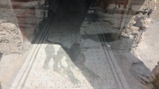 犬のモザイクは必見！