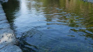 伊勢の清流五十鈴川