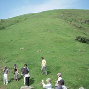 日本海に浮かぶ隠岐諸島の中でも自然がいっぱいで人情の花が咲く知夫里島