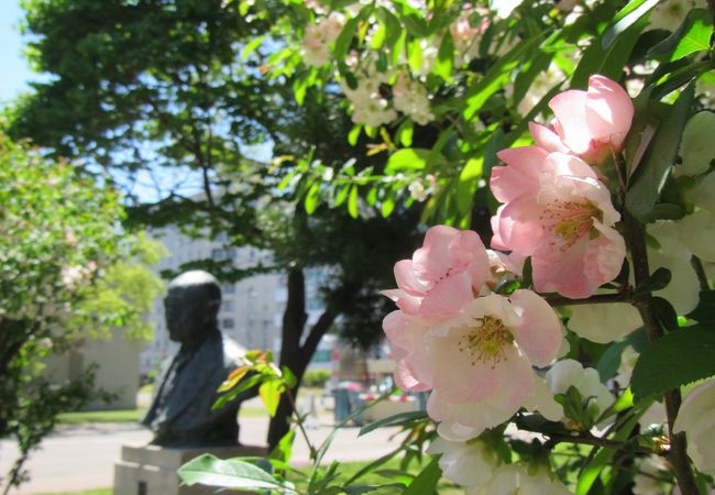 佐藤昌介の胸像 クチコミ アクセス 営業時間 札幌 フォートラベル 佐藤昌介の胸像 クチコミ アクセス 営業時間 札幌 フォートラベル