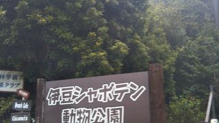 のんびりと過ごせる動植物公園