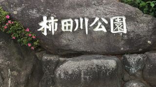 透き通るブルー