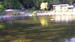 名前通り豊かなきれいな水が多く湧き出ていて、最高に癒される場所