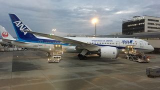 ゲート付近が綺麗に。