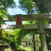 林の奥にひっそり佇む神社