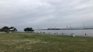 シーサイド コスモ (コスモスクエア海浜緑地)