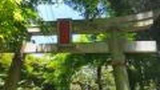 林の奥にひっそり佇む神社