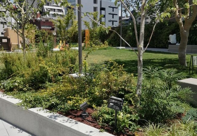水谷橋公園 クチコミ アクセス 営業時間 銀座 有楽町 日比谷 フォートラベル 水谷橋公園 クチコミ アクセス 営業時間 銀座 有楽町 日比谷 フォートラベル