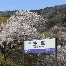 笠置駅は桜駅です
