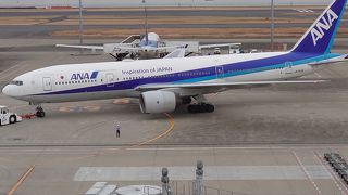 ＡＮＡの離発着を眺めます