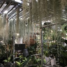 買える植物園 首都圏最大級のガーデンセンター By ライナス オザキフラワーパークのクチコミ フォートラベル
