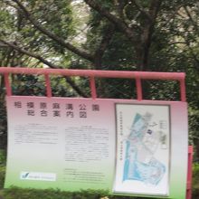 公園内に