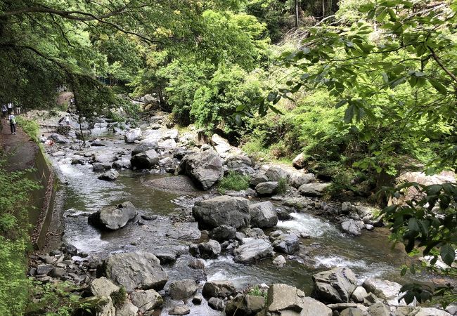 心地良い川のせせらぎ