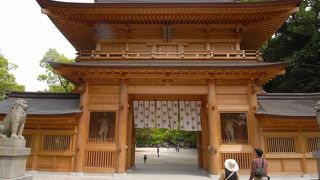 樹齢数千年の楠