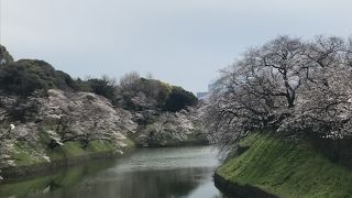 千鳥ヶ淵に面した公園