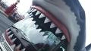 バスがすごい(笑)