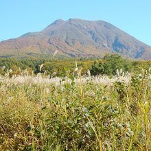 ふもとからの岩木山