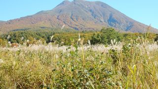津軽を代表する山。クルマとロープウエーで山頂近くまで行かれます。