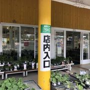 迷ってしまいます。