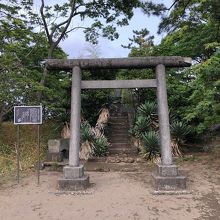 鳥居の先に塔が建っている