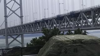 至近から見ました