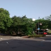 公園内にあるしいのき迎賓館も必見