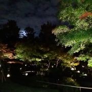 東京都23区内で、一番美しい紅葉を見られるのがここ！