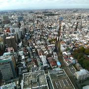 緑が豊かな境内が美しい寺院