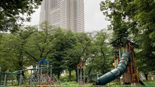 都庁を眺めながら