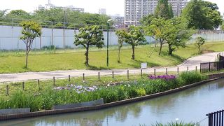 ２度目の利用です。