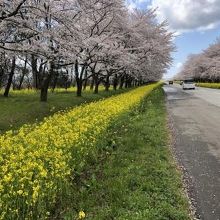 いい季節です。